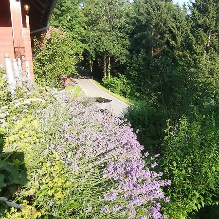 شقة 1 Zi Zauberwald