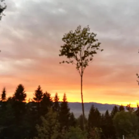 Appartamento 1 Zi Zauberwald *