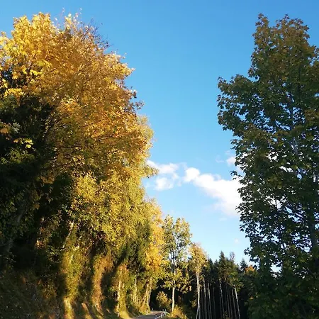 Appartamento 1 Zi Zauberwald *