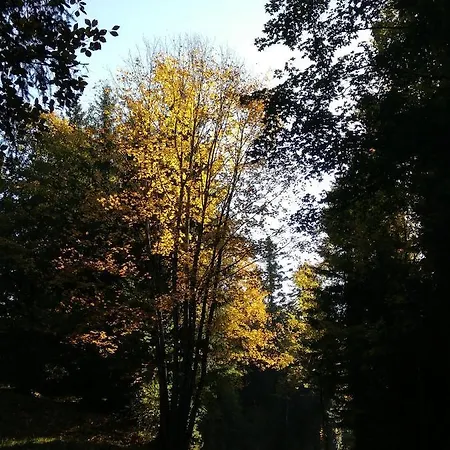 Appartamento 1 Zi Zauberwald Bildstein