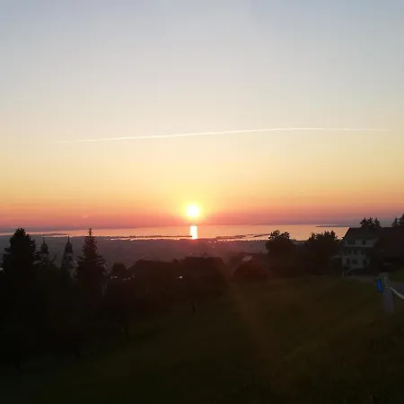 1 Zi Zauberwald *